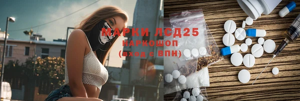 крисы Армянск