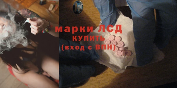 крисы Армянск